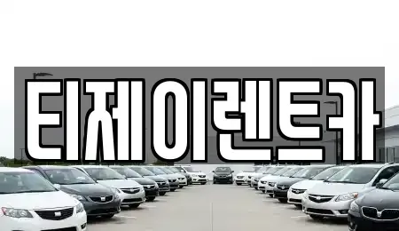 서울 중구 만리동2가 렌트카 전문 티제이렌트카