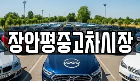 서울 중구 만리동2가 중고차매매 전문 장안평중고차시장