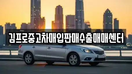 서울 중구 만리동2가 중고차매입 전문 김프로중고차매입판매수출매매센터