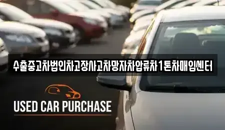 서울 중구 만리동2가 중고차매입 전문 수출중고차법인차고장사고차망자차압류차1톤차매입센터
