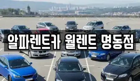 서울 중구 장교동 렌트카 전문 알파렌트카 월렌트 명동점