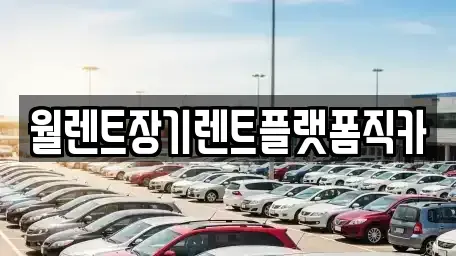 서울 중구 장교동 장기렌트카 전문 월렌트장기렌트플랫폼직카