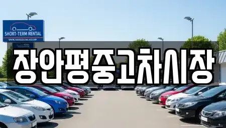 서울 중구 장교동 중고차매매 전문 장안평중고차시장