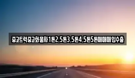 서울 중구 장교동 중고차매입 전문 중고트럭중고화물차1톤2.5톤3.5톤4.5톤5톤매매매입수출