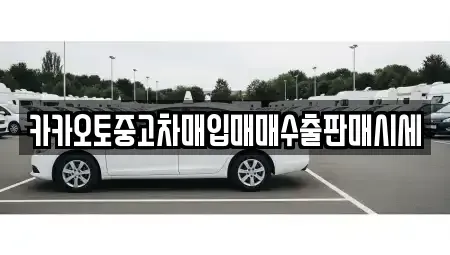 서울 중구 장교동 중고차매입 전문 카카오토중고차매입매매수출판매시세
