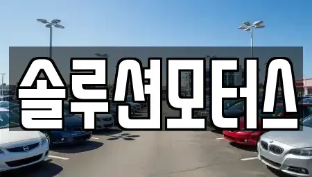 서울특별시 강남구 렌트카 전문 솔루션모터스
