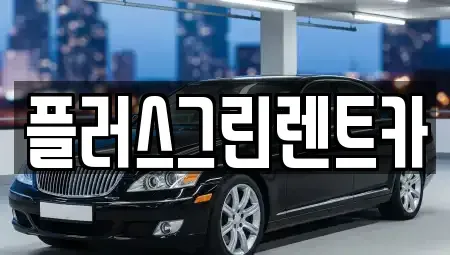 서울특별시 강남구 삼성동 렌트카 전문 플러스그린렌트카