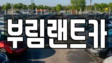 서울특별시 강남구 삼성동 장기렌트카 전문 부림랜트카