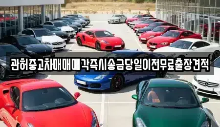 서울특별시 강남구 삼성동 중고차 전문 관허중고차매매매각즉시송금당일이전무료출장견적