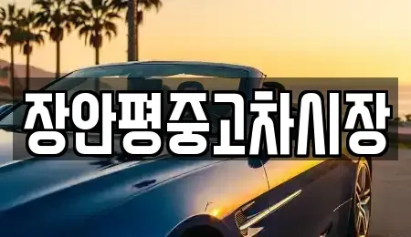 서울특별시 강남구 삼성동 중고차 전문 장안평중고차시장