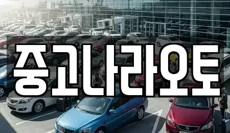 서울특별시 강남구 삼성동 중고차 전문 중고나라오토