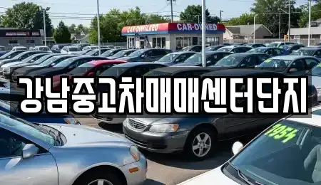 서울특별시 강남구 중고차 전문 강남중고차매매센터단지