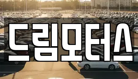 서울특별시 강남구 중고차 전문 드림모터스