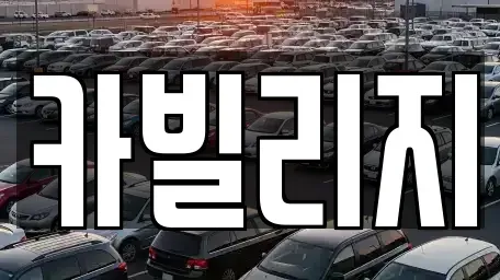 서울특별시 강남구 중고차 전문 카빌리지