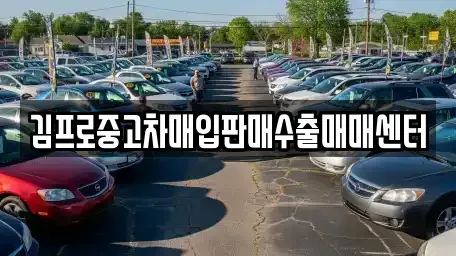 서울특별시 강남구 중고차매입 전문 김프로중고차매입판매수출매매센터