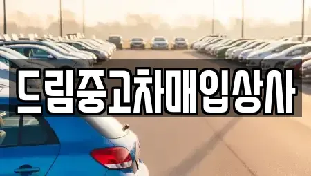 서울특별시 강남구 중고차매입 전문 드림중고차매입상사