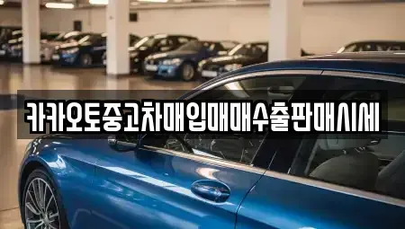 서울특별시 강남구 중고차매입 전문 카카오토중고차매입매매수출판매시세