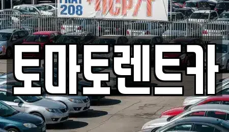 서울특별시 동작구 대방동 렌트카 전문 토마토렌트카
