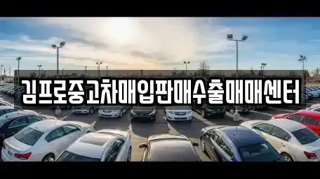 서울특별시 동작구 대방동 중고차매입 전문 김프로중고차매입판매수출매매센터