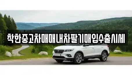 서울특별시 동작구 대방동 중고차매입 전문 착한중고차매매내차팔기매입수출시세