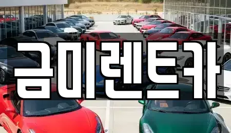 서울특별시 마포구 상수동 렌트카 전문 금미렌트카
