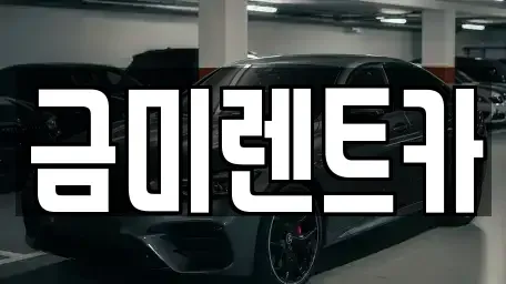 서울특별시 마포구 상수동 렌트카 전문 금미렌트카