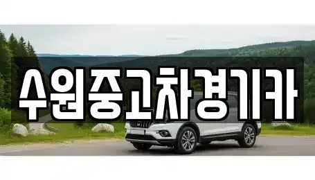 서울특별시 마포구 상수동 중고차매매 전문 수원중고차경기카