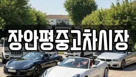 서울특별시 마포구 상수동 중고차매매 전문 장안평중고차시장
