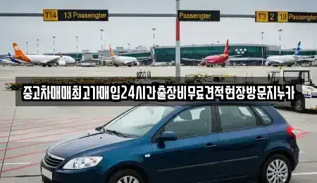 서울특별시 마포구 상수동 중고차매입 전문 중고차매매최고가매입24시간출장비무료견적현장방문지누카