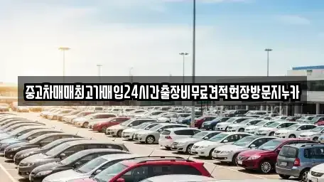서울특별시 마포구 상수동 중고차매입 전문 중고차매매최고가매입24시간출장비무료견적현장방문지누카