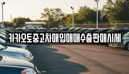 서울특별시 마포구 상수동 중고차매입 전문 카카오토중고차매입매매수출판매시세
