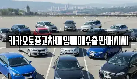 서울특별시 마포구 상수동 중고차매입 전문 카카오토중고차매입매매수출판매시세