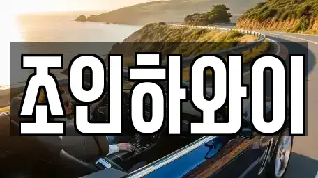 서울특별시 서대문구 냉천동 렌트카 전문 조인하와이