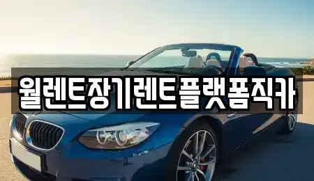 서울특별시 서대문구 냉천동 장기렌트카 전문 월렌트장기렌트플랫폼직카