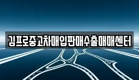 서울특별시 서대문구 대현동 중고차 전문 김프로중고차매입판매수출매매센터