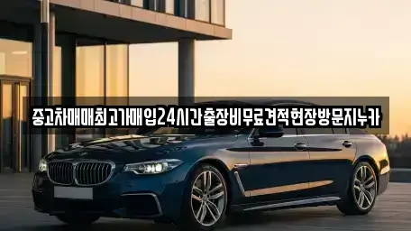 서울특별시 서대문구 대현동 중고차 전문 중고차매매최고가매입24시간출장비무료견적현장방문지누카