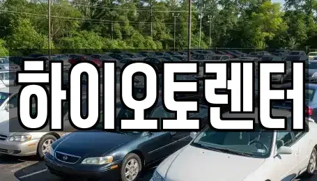 서울특별시 성북구 안암동2가 렌트카 전문 하이오토렌터