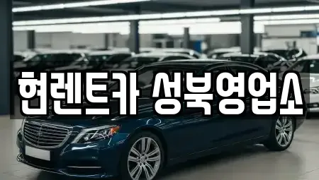 서울특별시 성북구 안암동2가 렌트카 전문 현렌트카 성북영업소