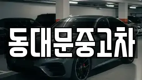 서울특별시 성북구 안암동2가 중고차매매 전문 동대문중고차