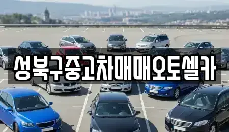 서울특별시 성북구 안암동2가 중고차매매 전문 성북구중고차매매오토셀카