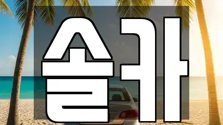 서울특별시 성북구 안암동2가 중고차매매 전문 솔카