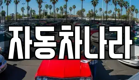 서울특별시 성북구 안암동2가 중고차매매 전문 자동차나라