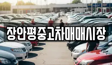 서울특별시 성북구 안암동2가 중고차매매 전문 장안평중고차매매시장