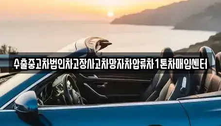 서울특별시 성북구 안암동2가 중고차매입 전문 수출중고차법인차고장사고차망자차압류차1톤차매입센터