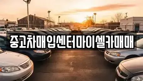 서울특별시 성북구 안암동2가 중고차매입 전문 중고차매입센터마이셀카매매
