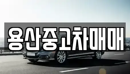 서울특별시 용산구 원효로4가 중고차매매 전문 용산중고차매매