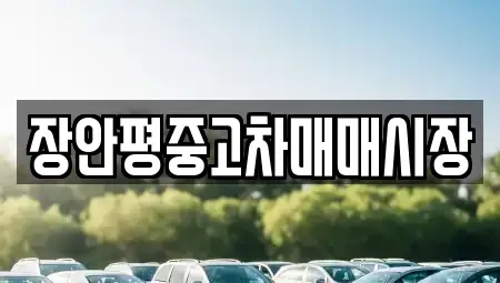 서울특별시 용산구 원효로4가 중고차매매 전문 장안평중고차매매시장