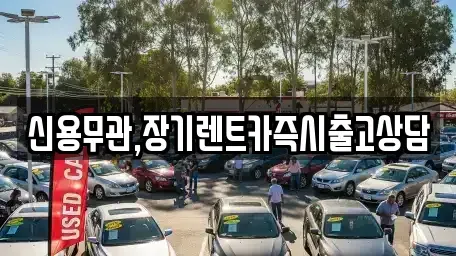 서울특별시 은평구 녹번동 장기렌트카 전문 신용무관,장기렌트카즉시출고상담