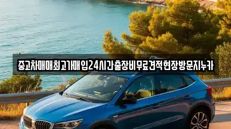 서울특별시 은평구 녹번동 중고차매입 전문 중고차매매최고가매입24시간출장비무료견적현장방문지누카