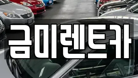 서울특별시 종로구 세종로 렌트카 전문 금미렌트카